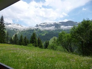 Terrain de l’hébergement 