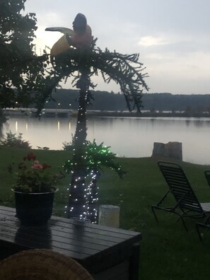 Palm tree