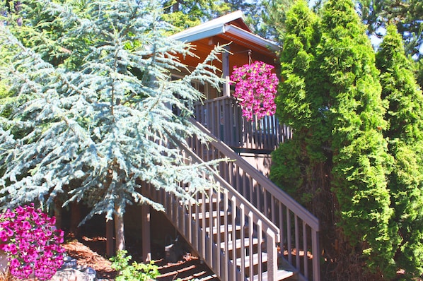 Charming Baywood Cottage near the Sea