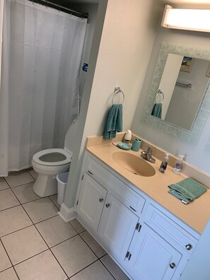 Master Bath: Full size tub, toilet, and large vanity.