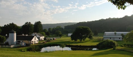 There's lots to see at the farm!