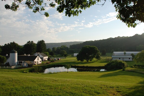 There's lots to see at the farm!