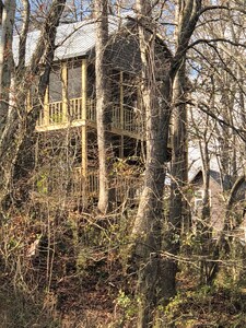 Harvey’s Hideaway Riverfront Cabin