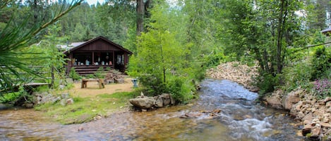 Our large cabin from the children's garden looking across the creek.
