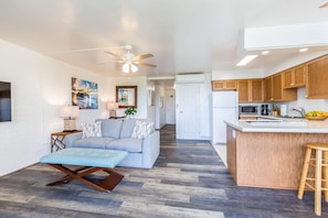 Living Area / Kitchen