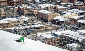 Sneeuw- en skisporten