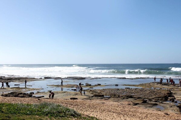 A short stroll to Shelly Beach