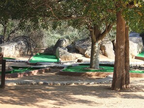 Mini-golf