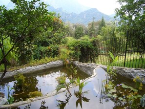 Cascading fountain with fish