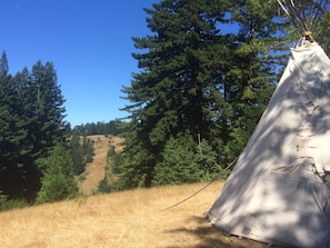 Ocean views from the teepee