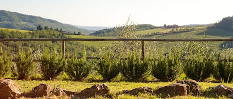 Overnattingsstedets uteområder