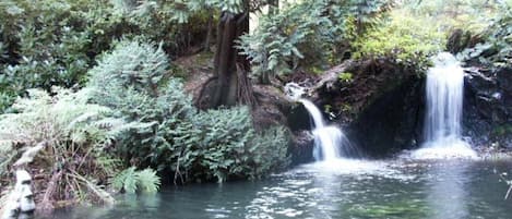 Jardines del alojamiento