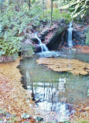 Waterfalls in Autumn