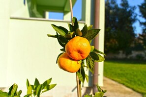 Boendeområde