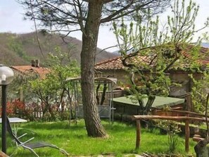 Garden with swing