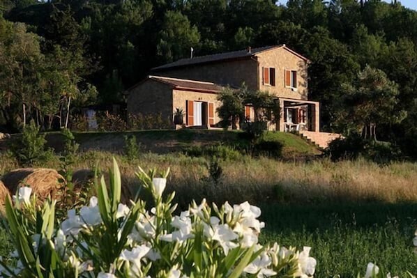 TUSCANY FOREVER PRIVATE VILLA BERTI in MONTESCUDAIO