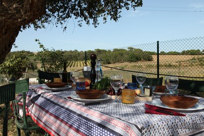 Rustic apartment on the Costa Brava