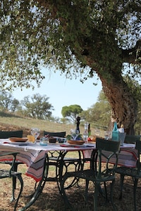 Rustic apartment on the Costa Brava