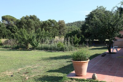 Rustic apartment on the Costa Brava