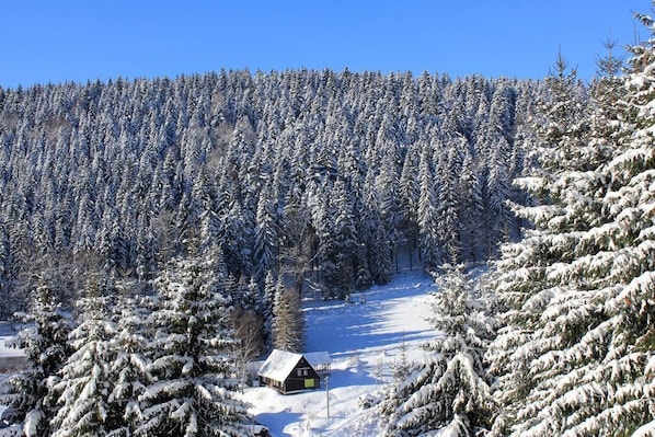 Skidåkning och snöaktiviteter