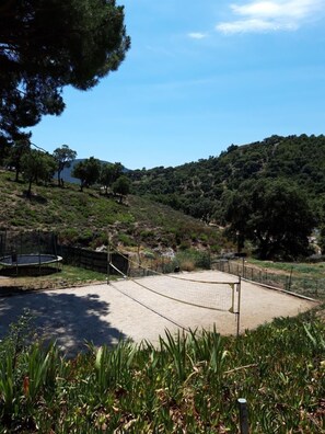 Picture 19