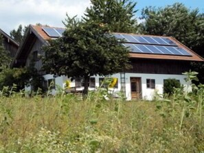 Floris Ferienhaus mit Südterrasse und 4 Schlafzimmern-Vorm Ferienhaus mit weitem Blick grenzt die Rinderweide an.