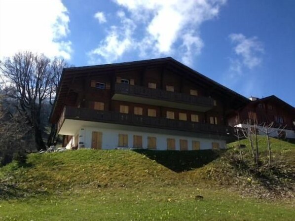Picture 1