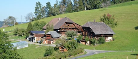 Picture 1