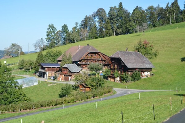 Exteriör