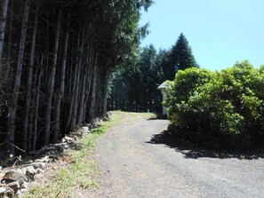 Allée menant à la maison.