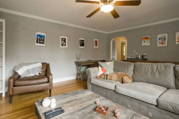 Modern Appointments in a large living room