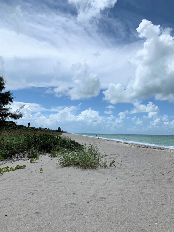 No highrises  or condos, yet everything you need is nearby.