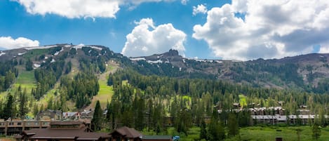 Totally unplug in the remote mountain air