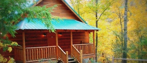 Fall View Of The Cabin