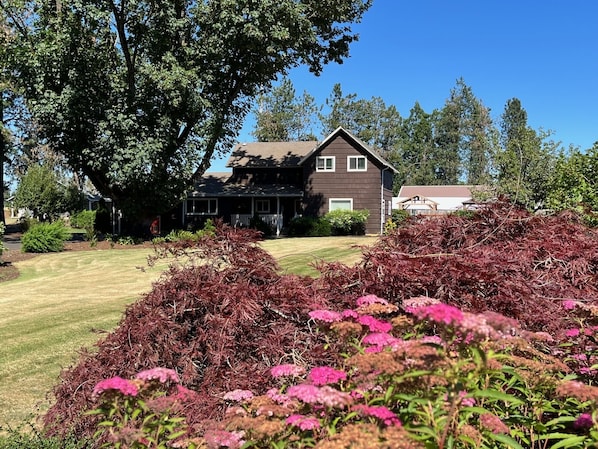 Farmhouse and yard