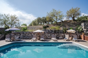 Pool with umbrellas and loungers