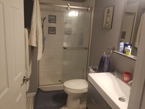 Main floor bathroom with overhead shower.