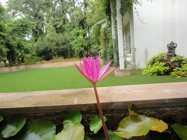 Gardens & Lush Lawns with Lotus Ponds make the space serene peaceful & tranquil.