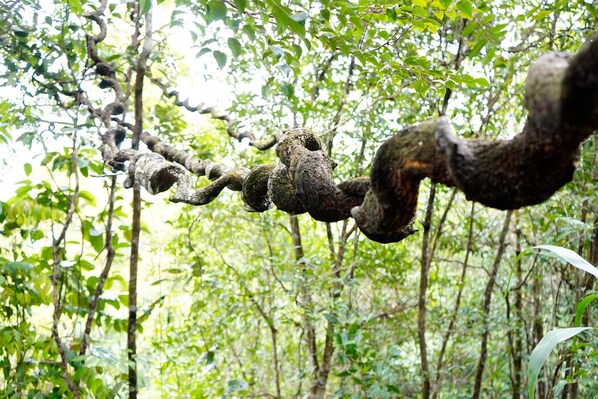 Parco della struttura