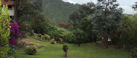 Jardines del alojamiento