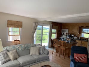 Family Room/Eat in Kitchen
