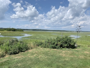 View looking towards Wells Harbor