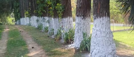 Jardines del alojamiento