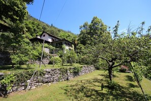 Picture 4