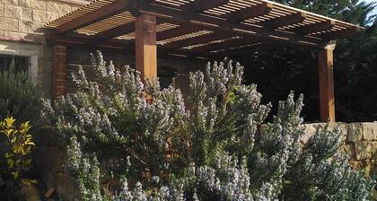 the blue strawberry tree apartment