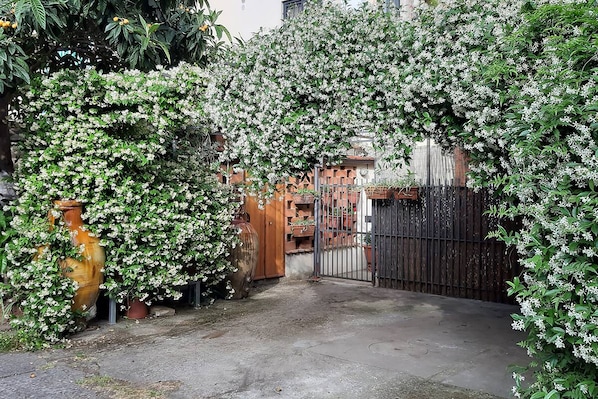 Property grounds