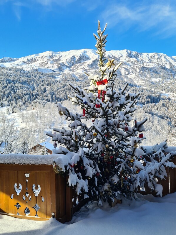 Wintersport/Ski