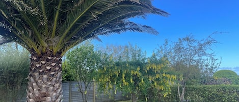 Grand jardin clos avec différents petits endroits pour se reposer