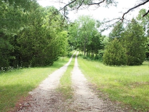 The driveway to the guest house is over a quarter mile long!