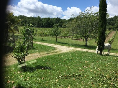 Private gite for rent in a wine estate